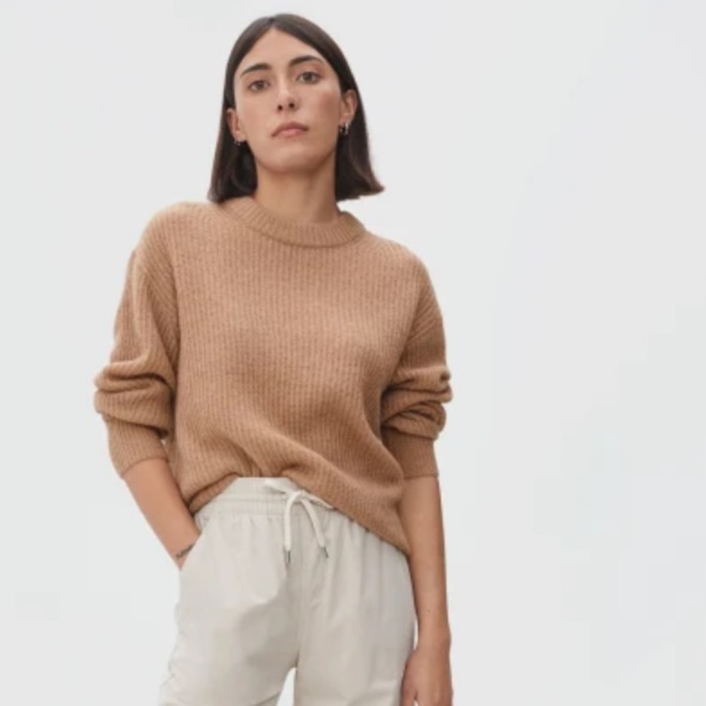 Everlane The Alpaca Crew